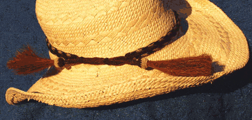 Brown Four Strand Horsehair Hat Band